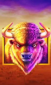 Buffalo King